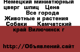 Немецкий миниатюрный(цверг) шпиц › Цена ­ 50 000 - Все города Животные и растения » Собаки   . Камчатский край,Вилючинск г.